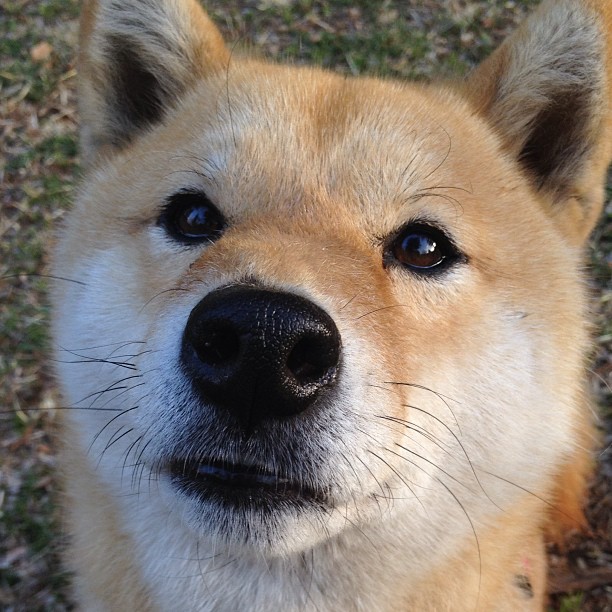 扩展思维，文章标题