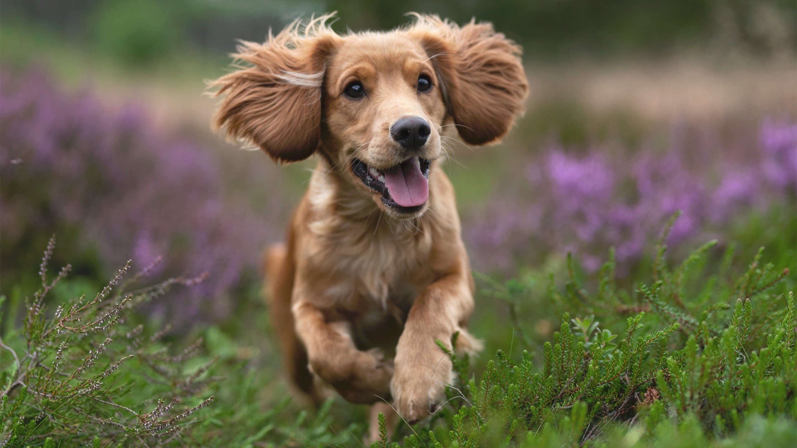 跨国之战，山西队粉碎绿军神话，米切尔致命绝杀不手软