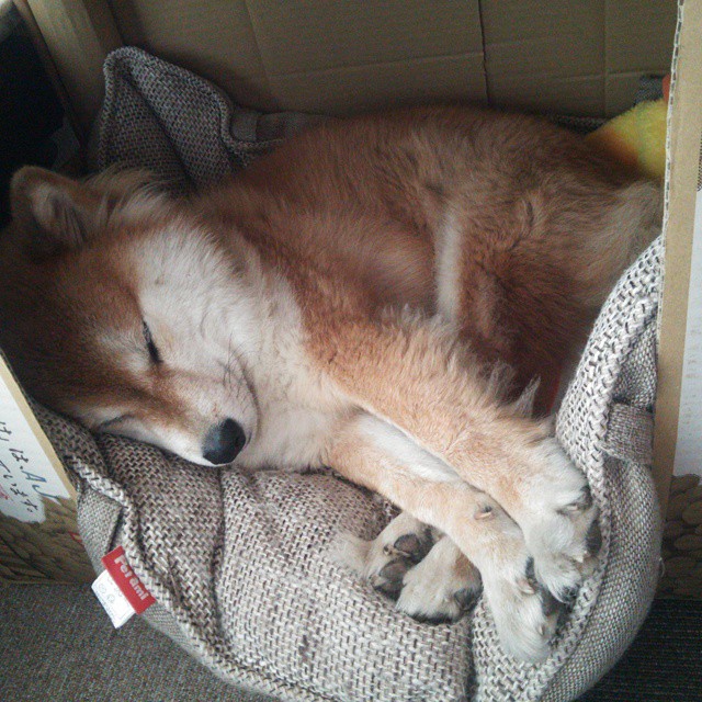 霍勒迪之夜，森林狼横扫热火，年度焦点战他一人接管