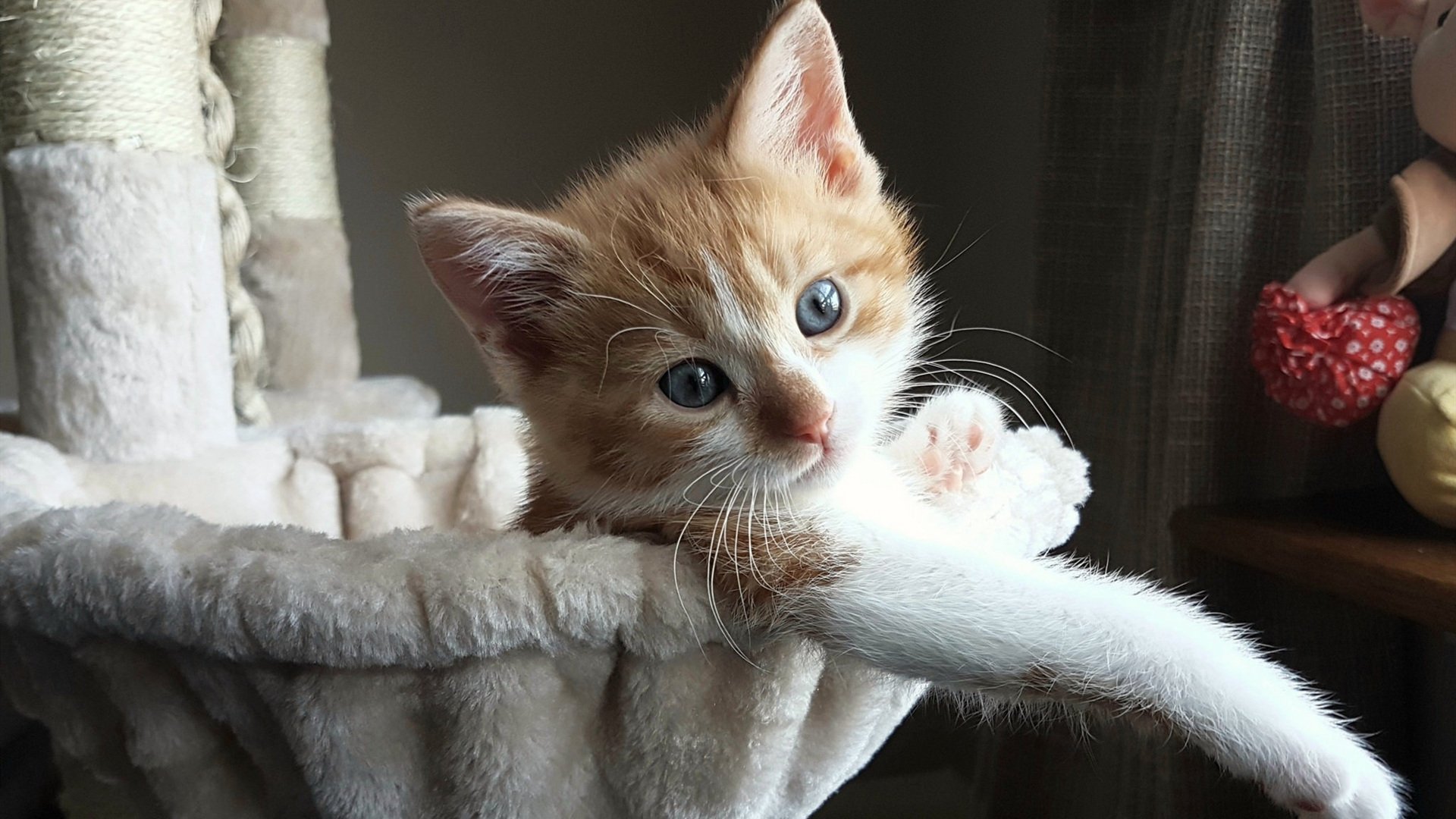 当马刺穿越对阵辽宁，在詹姆斯刷新的纪录之夜，一场元宇宙交锋如何定义篮球的唯一性