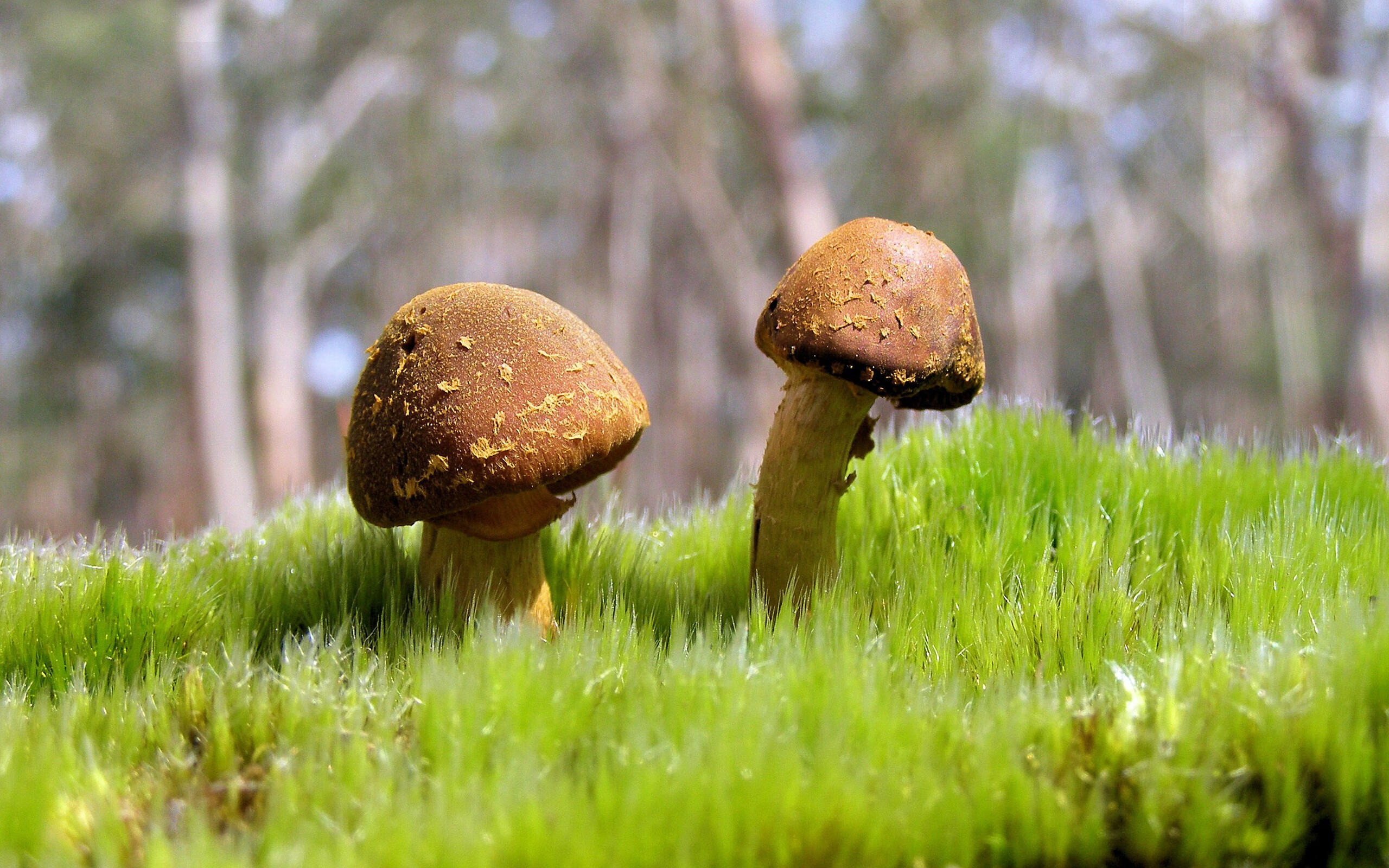 鏖战加勒比海岸，格纳布里完成自我救赎