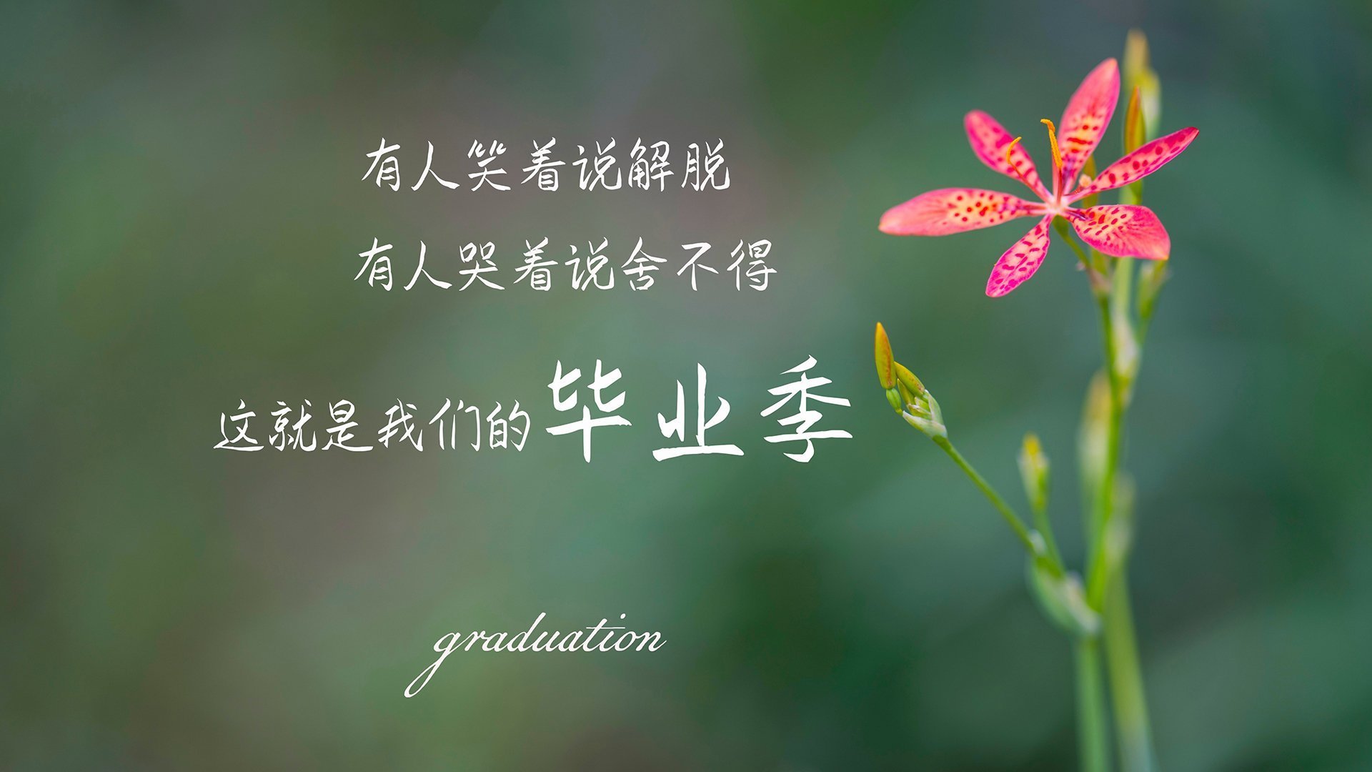 北非风暴难撼海湾金主，姆巴佩个人秀击碎阿尔及利亚世界杯梦想