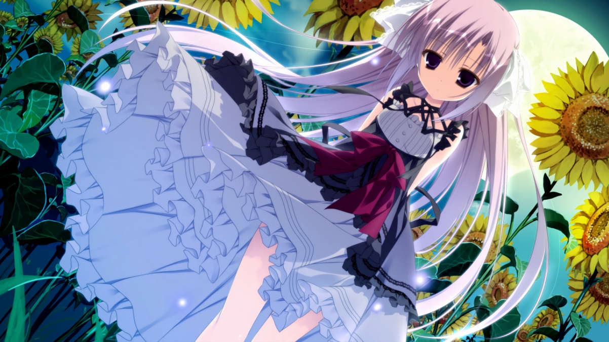 双城记，绿茵争霸与篮坛狂胜背后的竞技哲学