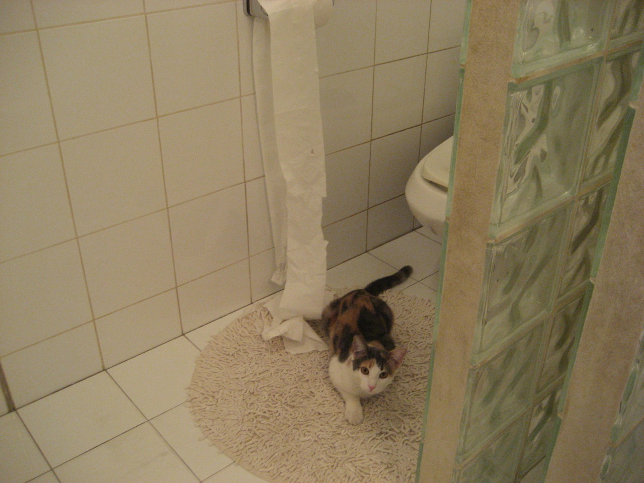 暗夜极速交响曲，当比利时门神在F1街道赛之夜惊艳四座