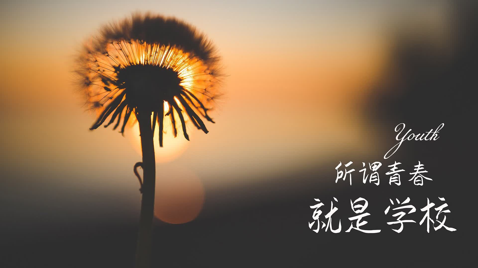 开云体育平台APP-从地狱到天堂，2026世界杯G组唯一神迹，迪亚斯压哨绝杀，葡萄牙逆天改命