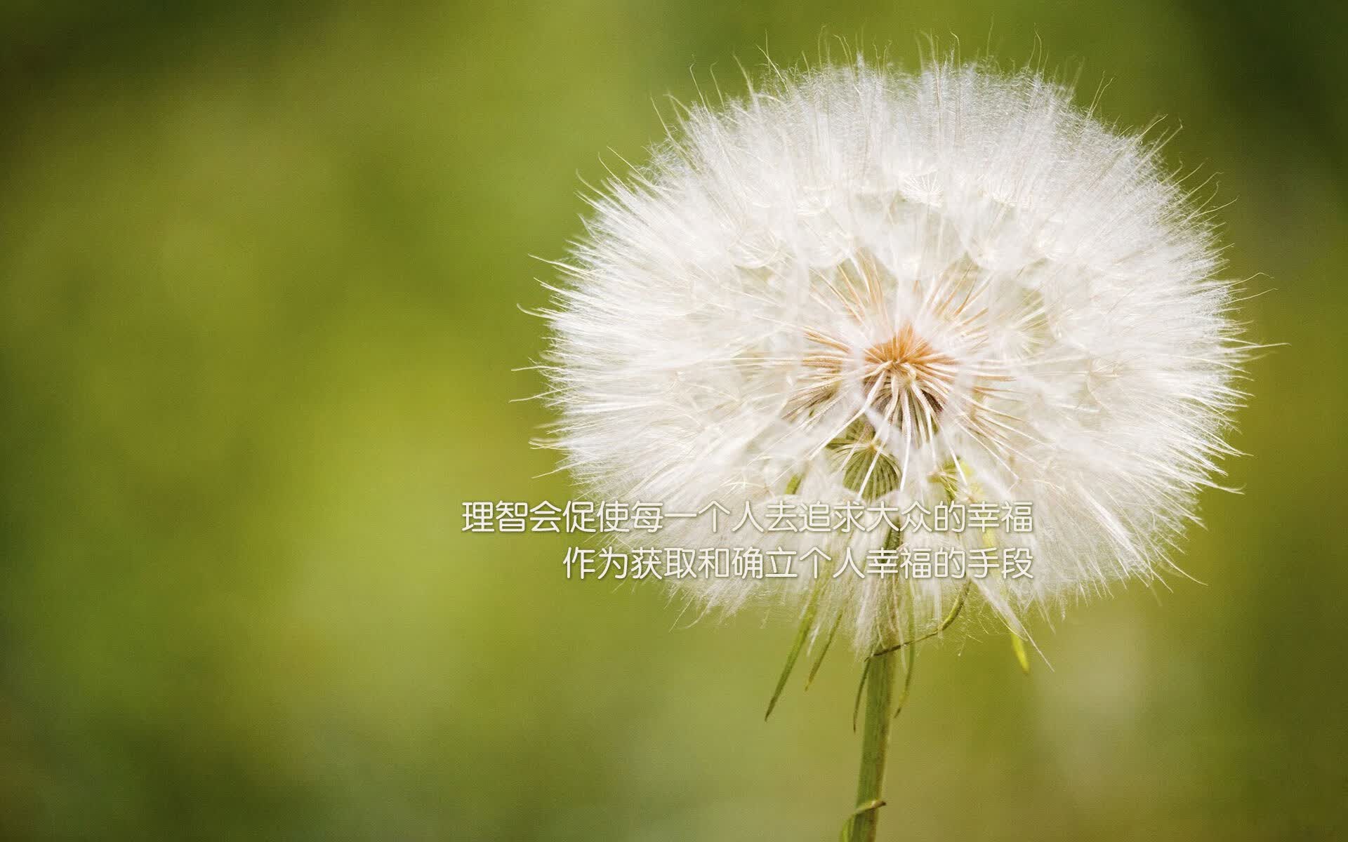 开云体育app-黑暗中的闪电，非洲雄鹰亮剑H组，奥斯梅恩的子弹击穿匈牙利防线